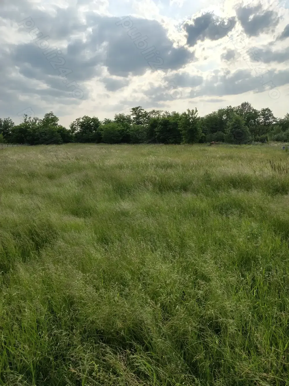 Vând teren comuna Victor Vlad Delamarina 