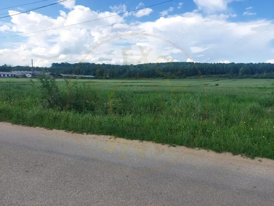 Teren Cerbu - Albota - cu PROIECT CASA si AVIZE 