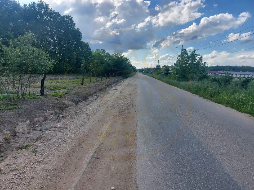 Teren Cerbu - Albota - cu PROIECT CASA si AVIZE 