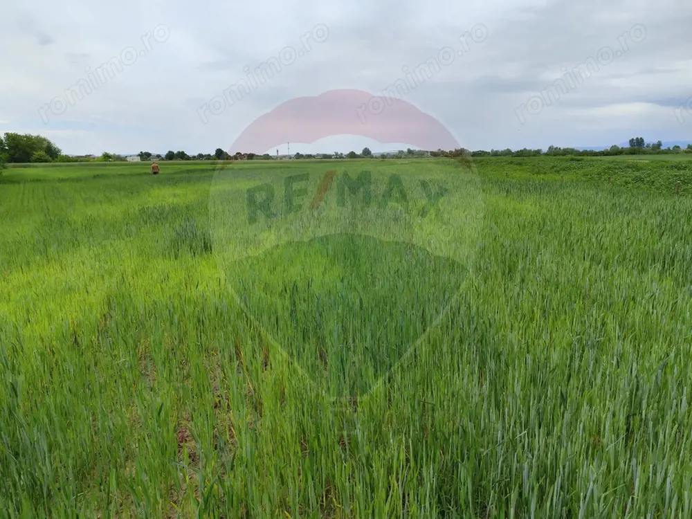 Teren intravilan de vanzare in Ulmeni (Plopi)