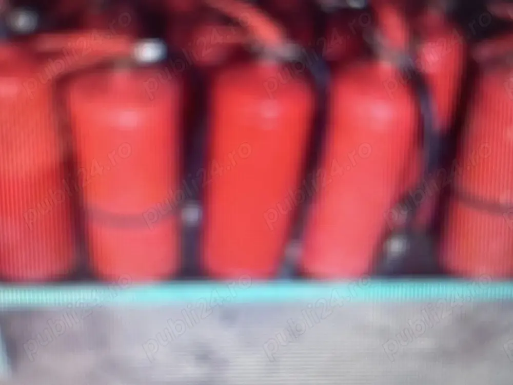 Stingator P6 pulbere , spuma cu manometru