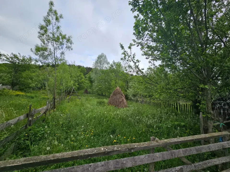 TEREN VANZARE VALEA DOFTANEI