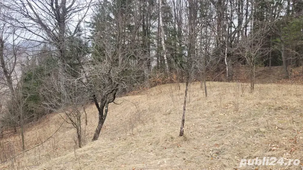 Teren Breaza Podul Vadului 2100 mp intravilan 