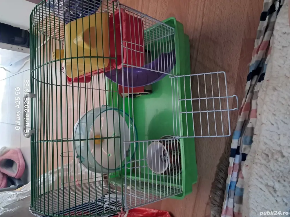 Vand 3 custi pt hamster plus doua rotite pt hamster si o punga de talaj la 1 kg 