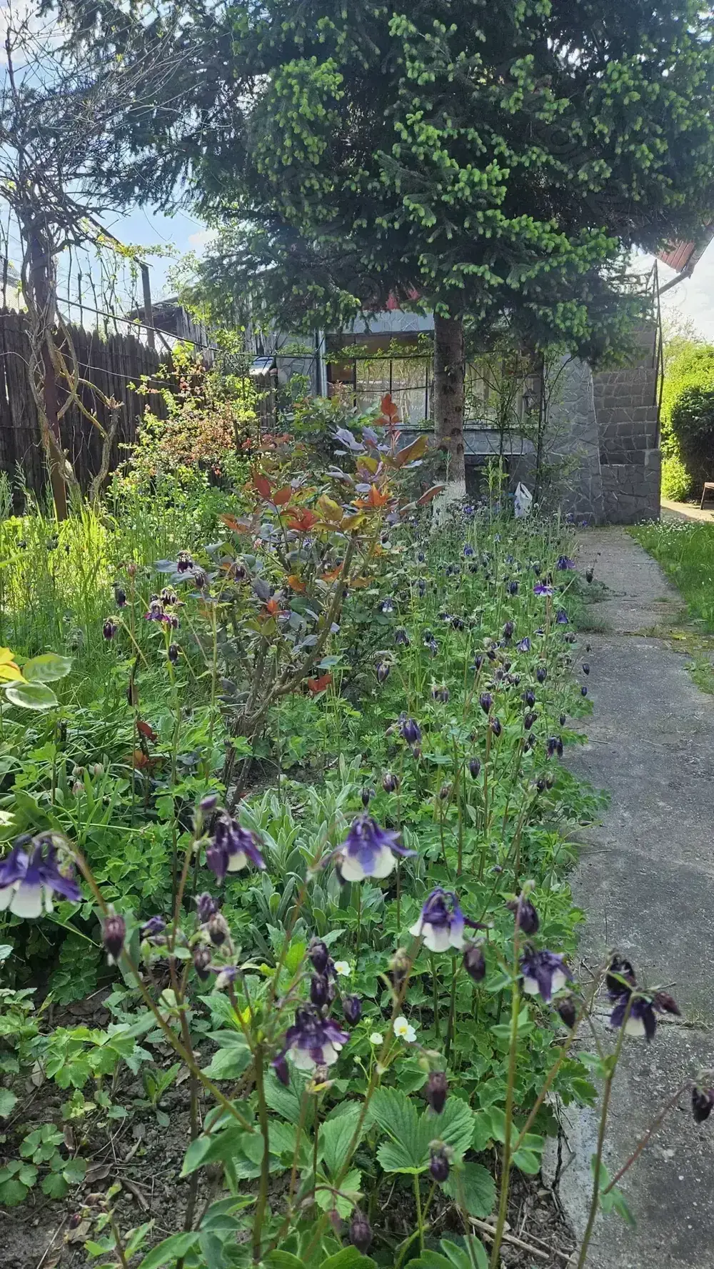 Casa de vânzare în loc. Dițești, com. Filipeștii de Pădure, jud. Prahova