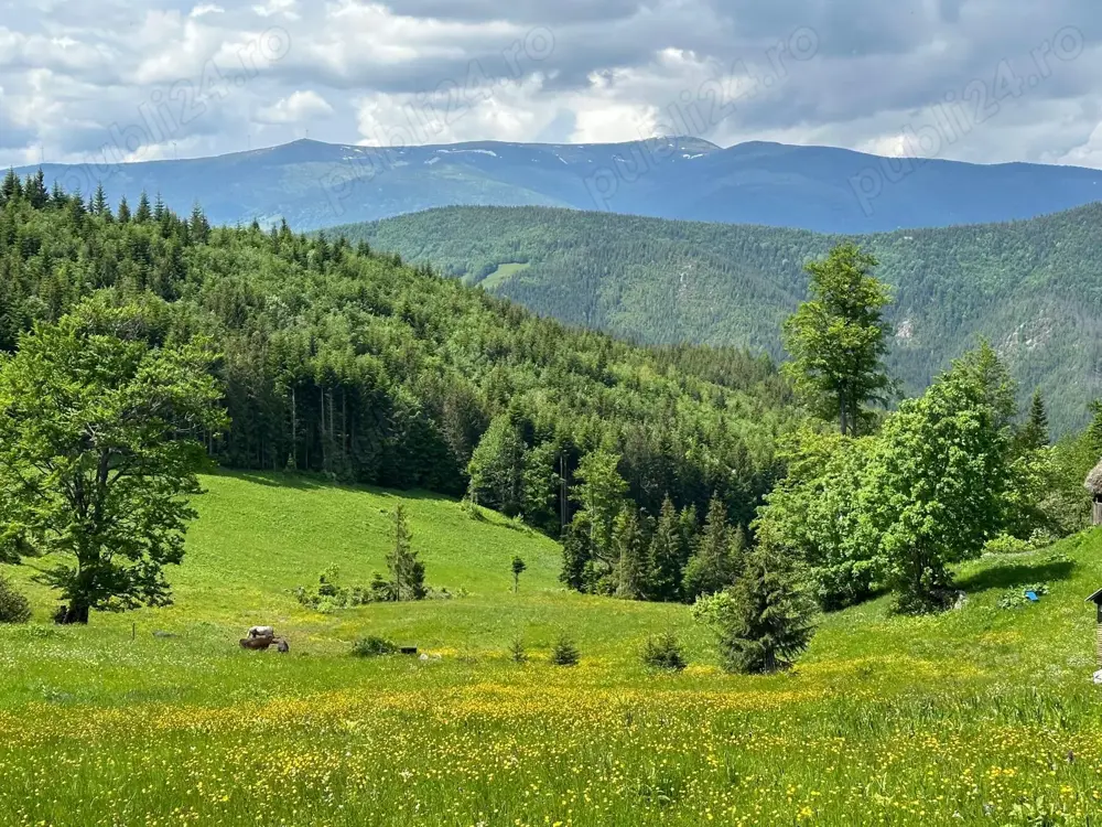 Vând teren extravilan  Vând teren extravilan