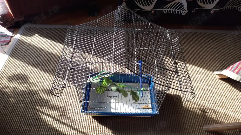 Colivie pasari mici 25x40x55 cm