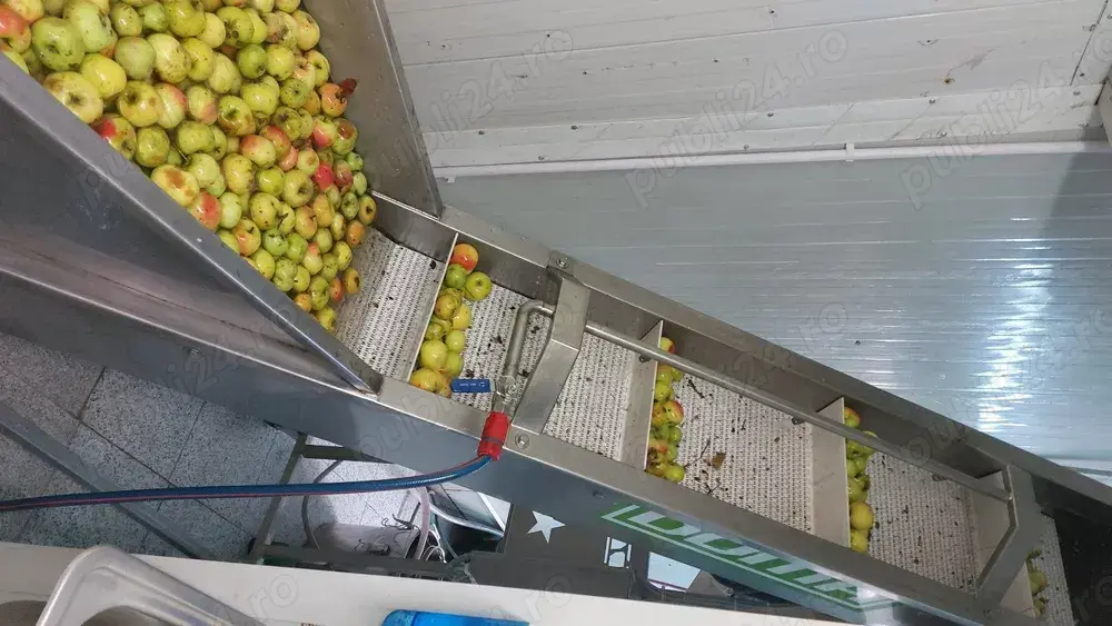Linie fabricație suc de mere .