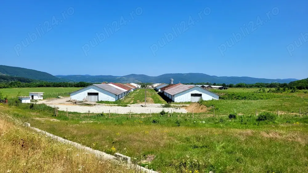 Hale de depozitare  productie de inchiriate 