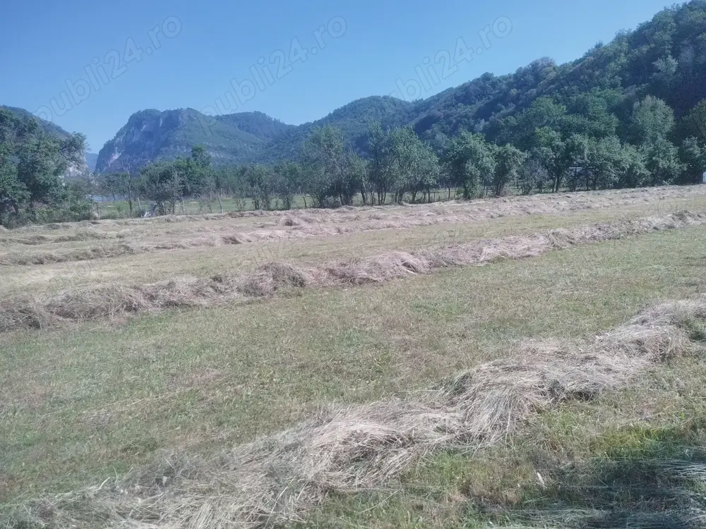 Vind 6700m teren intravilan+casa in Polovragi Gorj