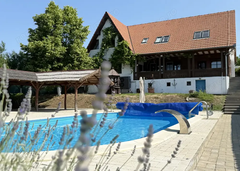 Casa cu piscina   Pensiune   Restaurant - Pe malul lacului din Paleu - IMOBIHOR 
