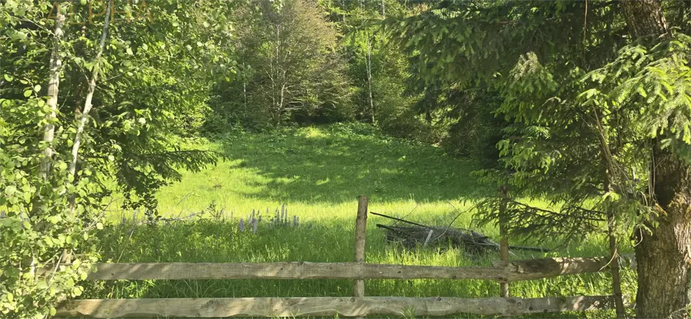 Teren intravilan de vanzare in Colibita