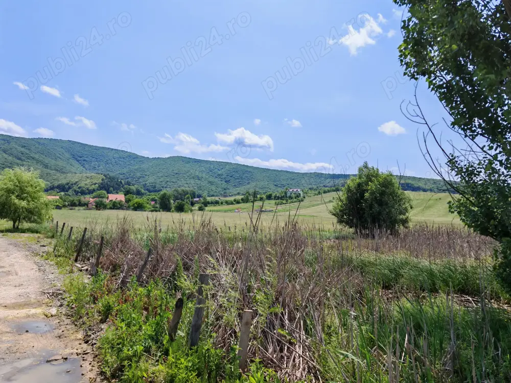 Teren intravilan 7.800 mp Mărcuș sau loturi începând cu 7.000 euro.