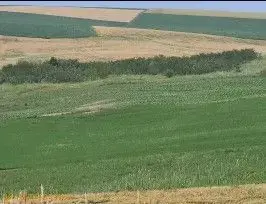 Teren Extravilan Aroneanu, ID: R2577828