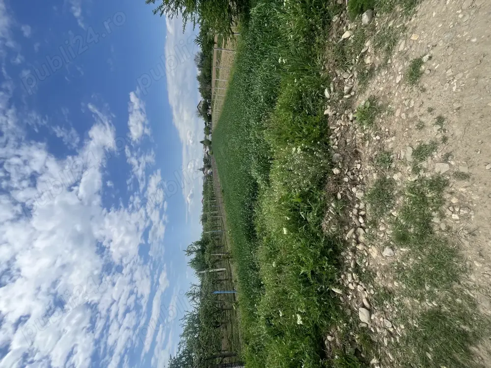 Vând teren 1600 m2, Dragomirești Dambovita