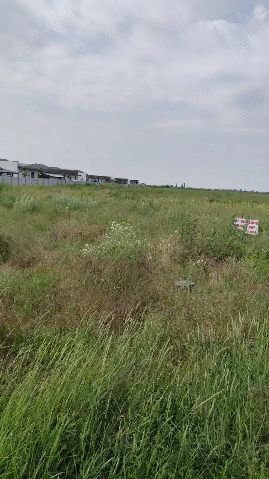 Vând Teren Extravilan Măgurele  5000 mp
