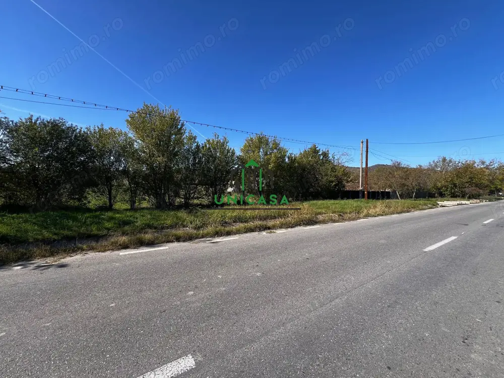 Teren intravilan/Str Balciului/Copacelu
