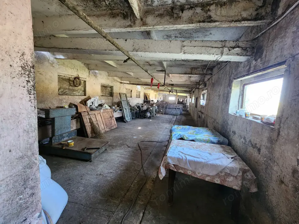 Închiriez în Sanandrei teren și hala 
