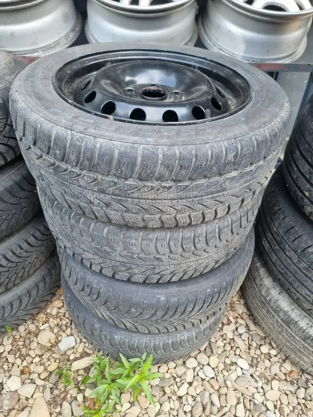 Roti iarna Wv, audi, skoda, seat