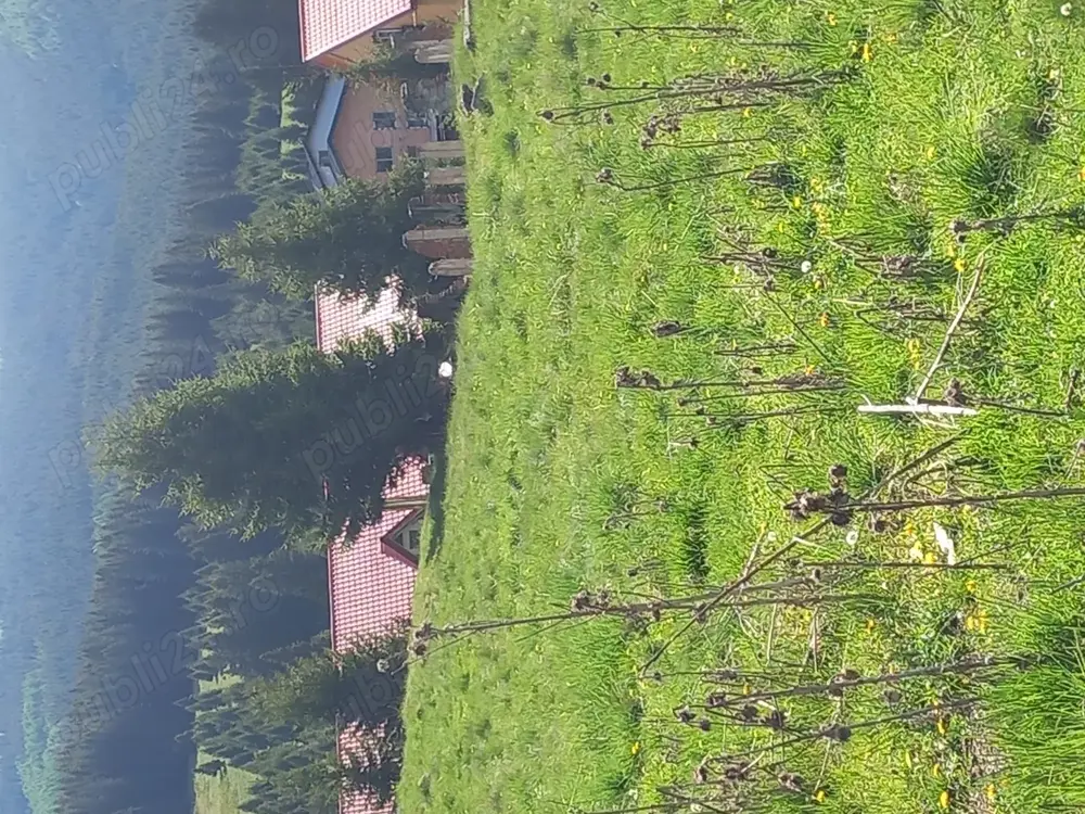 Vând teren intravilan,zona Cheile Tătarului platou Peștera Padina,500 mp.