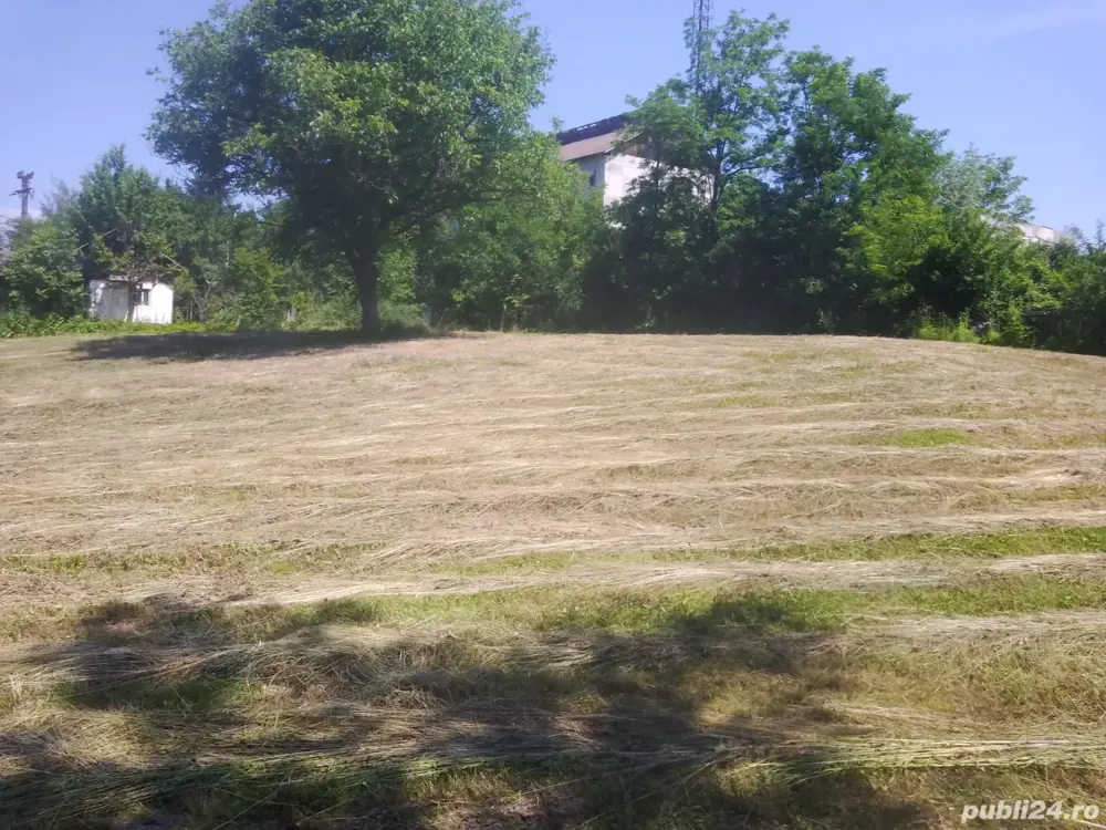 Vind loc casă în comuna Copăceni Satu Bălteni la strada principală 40 de ari cu cadastru făcut