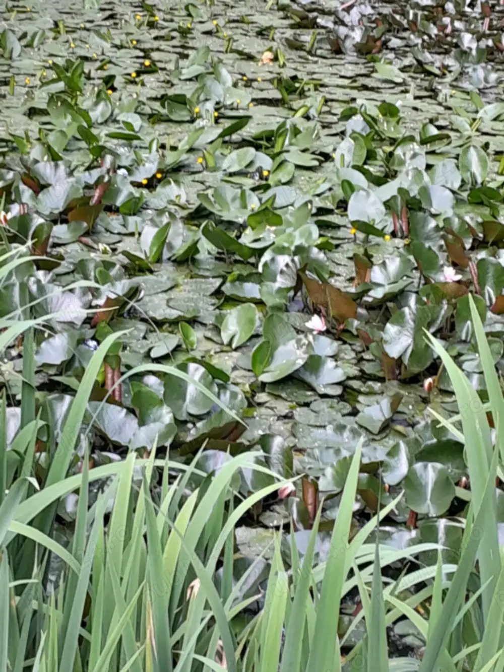 cazare superba pentru vacante,concedii,,,,nu ratati un pret bun