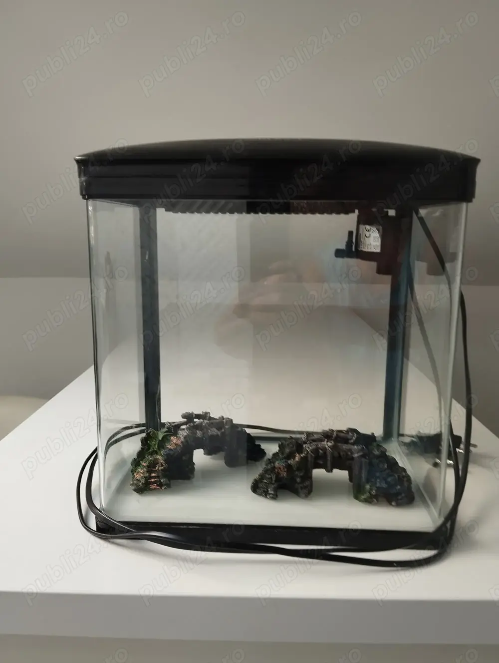 Acvariu pesti, Cluj Napoca,200 ron