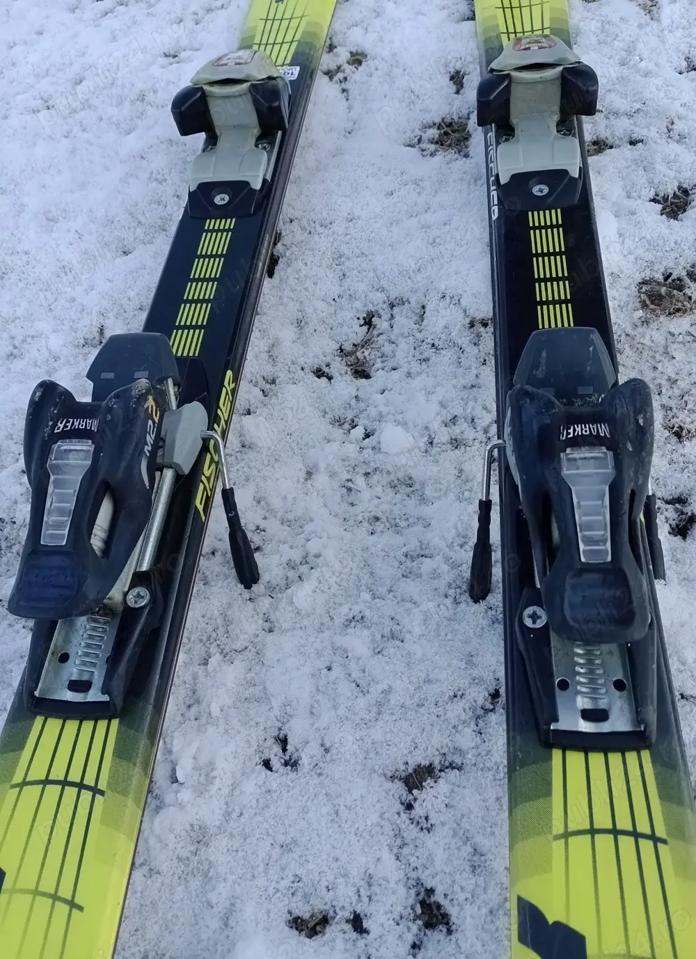 vand schiuri fischer