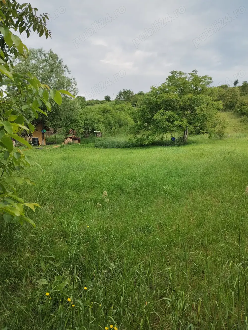 Vând teren in Cojocna,judetul Cluj