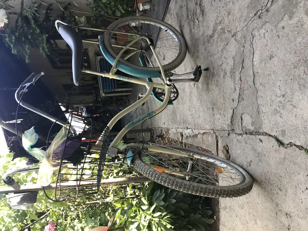 Bicicleta pegas damă