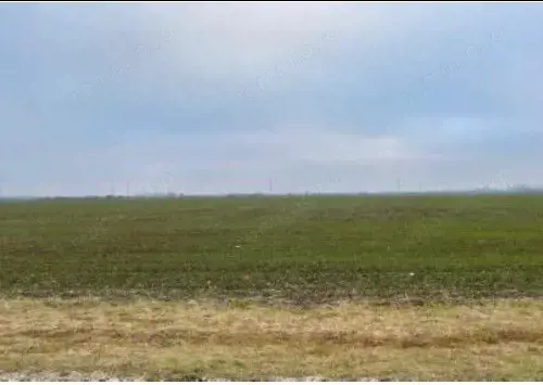 Teren Extravilan Cerna, cota parte 1/5 ID: R2581973 Teren Extravilan Cerna, cota parte 1/5 ID: R2581973