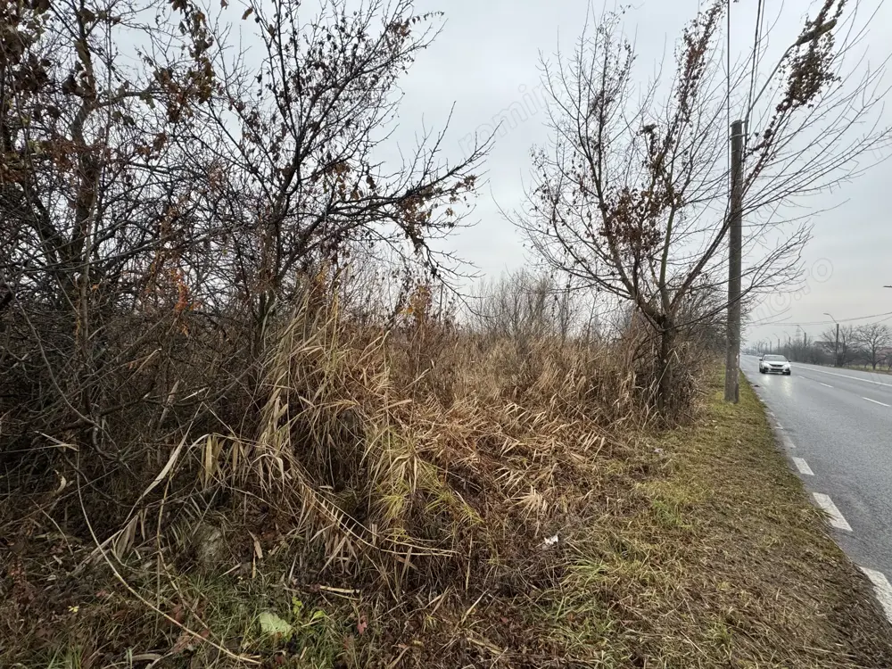 Teren intravilan 1.006 mp in Loc. Cristur, Jud. Hunedoara.