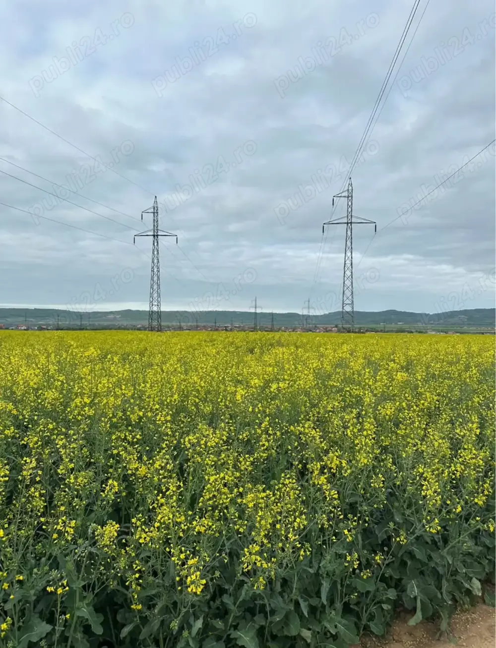 Vand teren extravilan