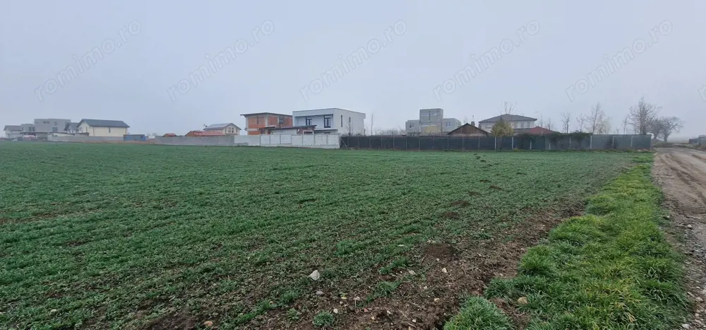 Ovidiu- Poiana, teren intravilan ideal pentru constructie case