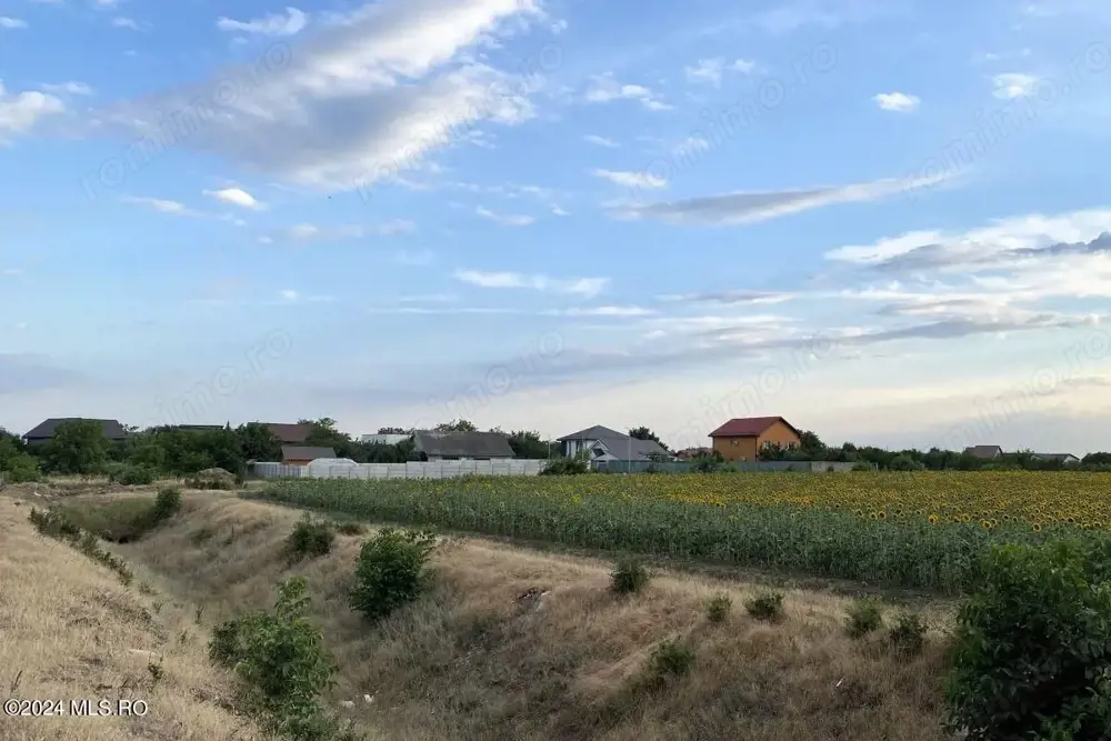 Tamasi, langa padure, 12.824 mp, deschidere 45 ml, teren cu potential