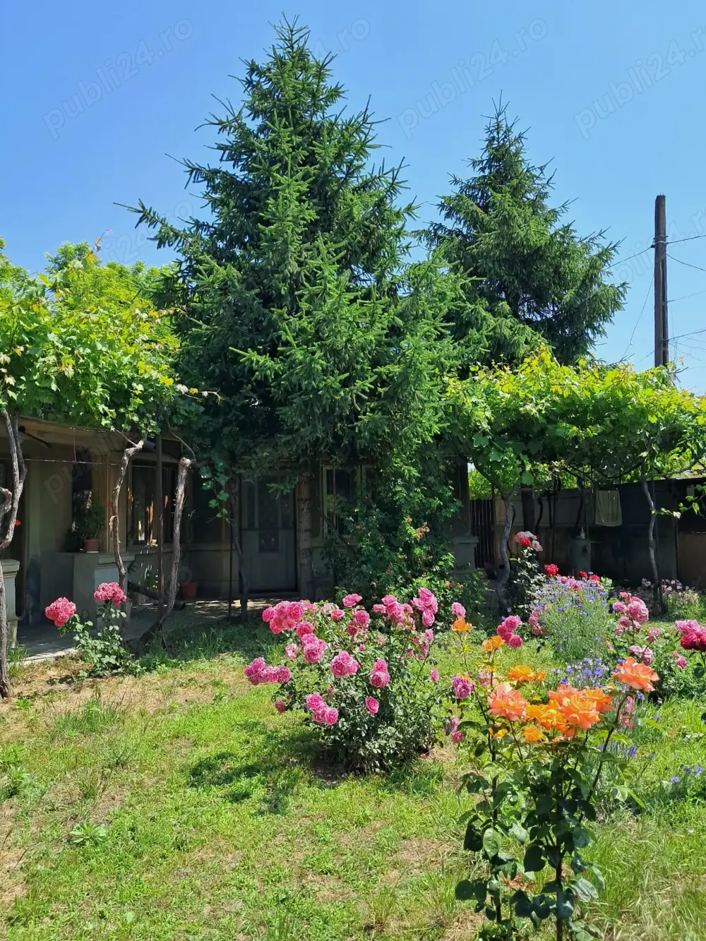 Vand casa + curte + spatiu comercial, ideal locuinta + afacere, Braila