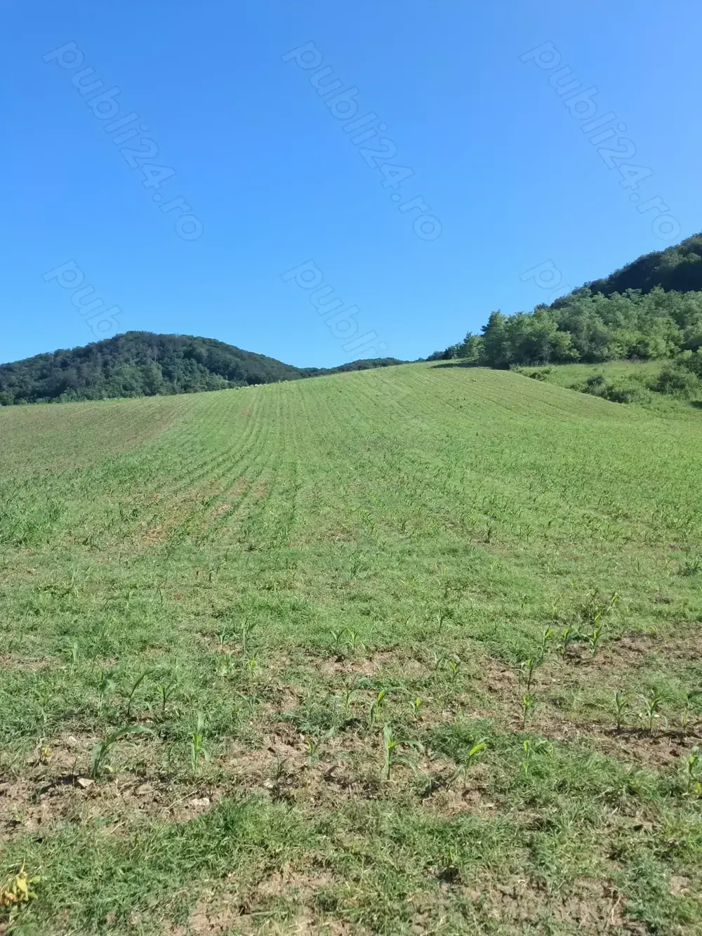 Teren pentru cabană,casă de vacanță 7000mp