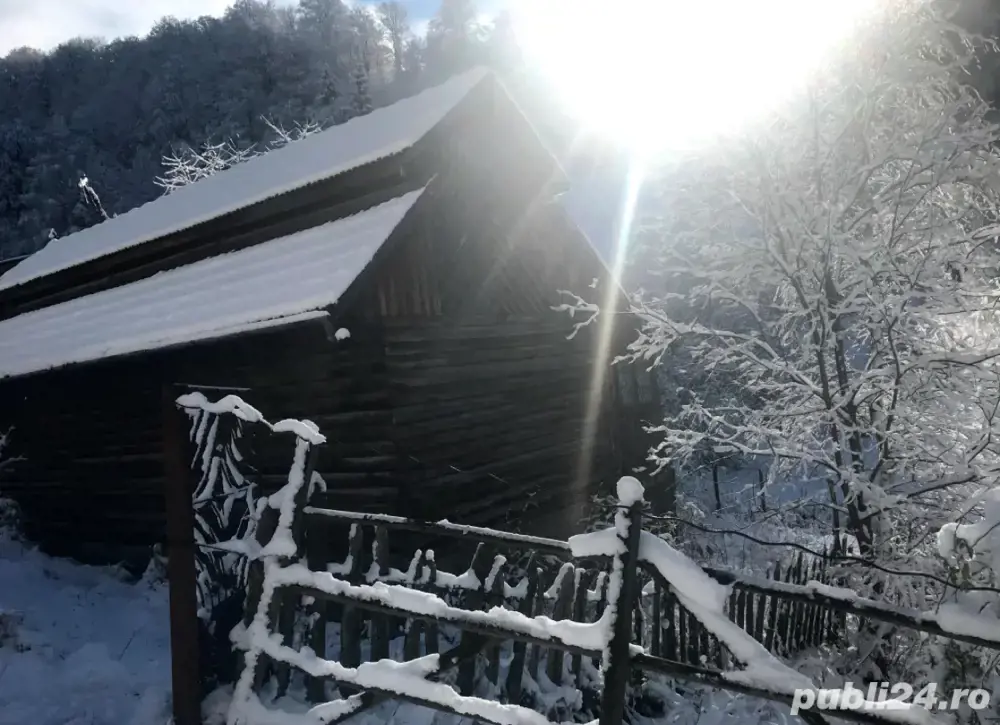 Cabana Casa de vacanta