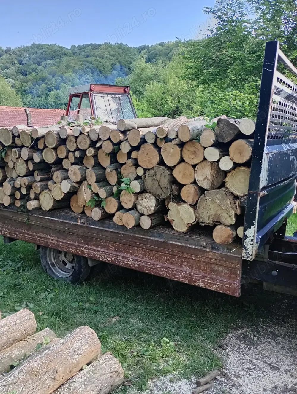 Lemn de foc paletizat