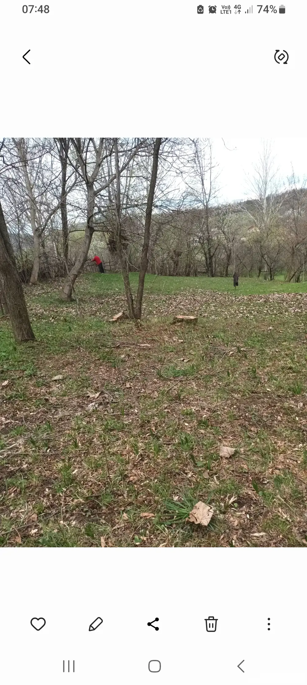 vînd teren     gradină comuna Izvoarele