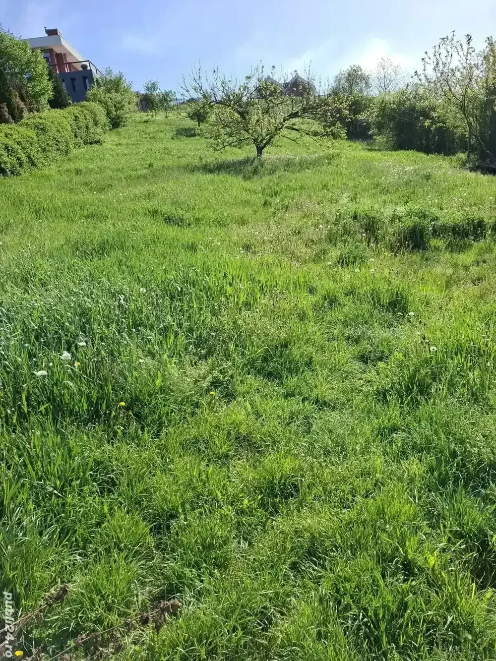 Vanzare Teren - str Branului