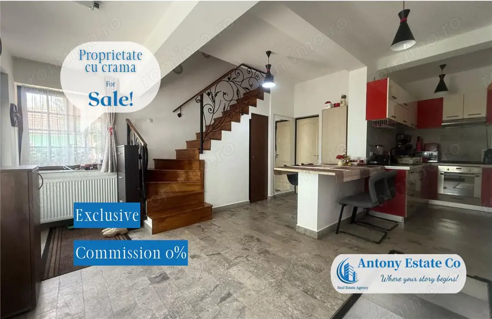 Proprietate cu crama, Ultracentral, casa de vanzare, Oradea, Bihor Proprietate cu crama, Ultracentral, casa de vanzare, Oradea, Bihor