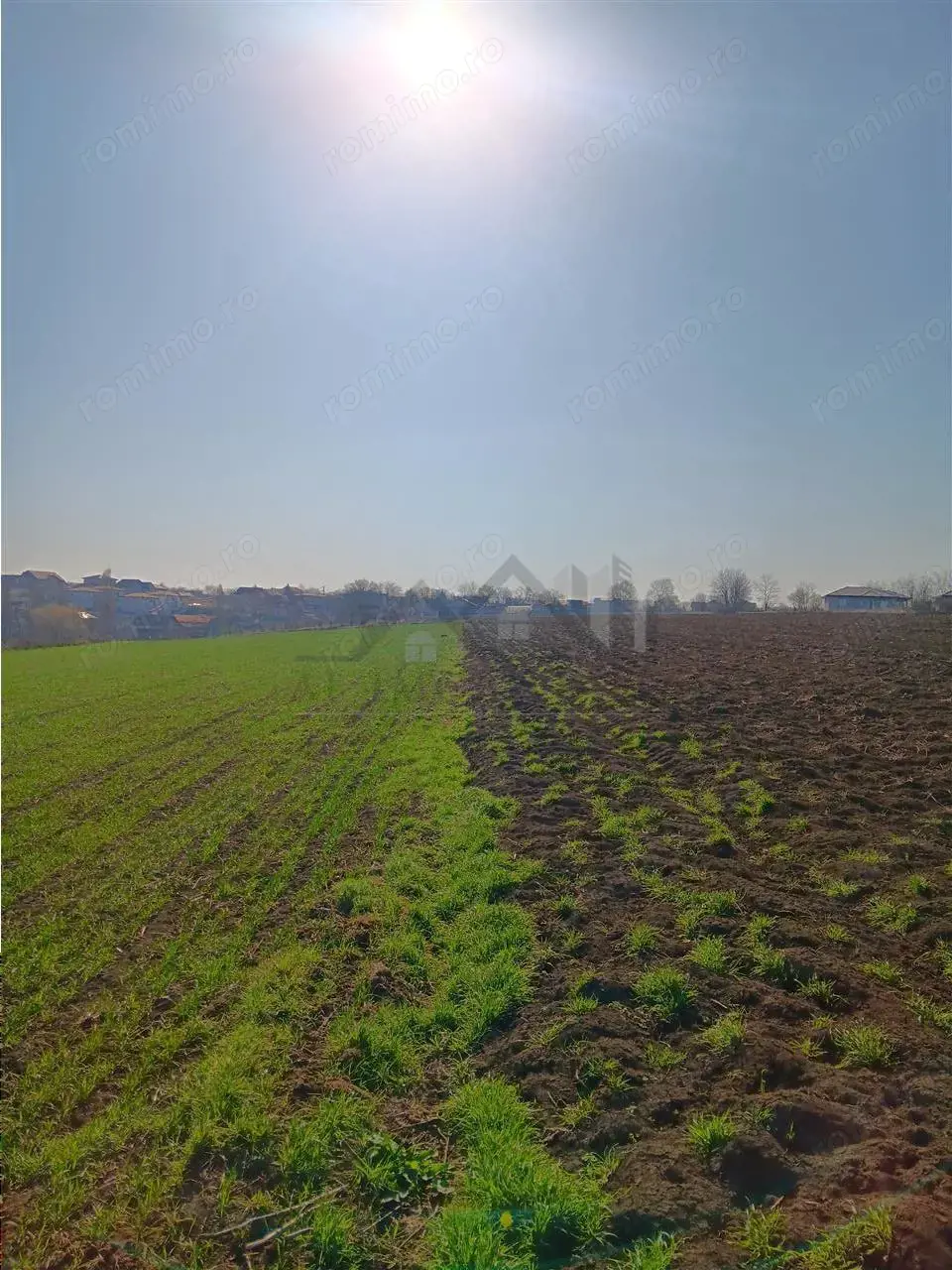 OCAZIE! Vorovesti Teren 83000mp intrav. si extrav. cu utilitati