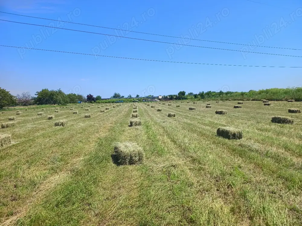 Fan - amestec 25 lei balotul 