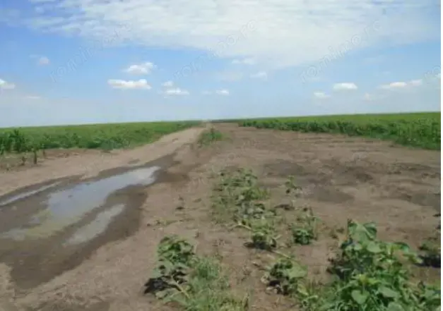 Teren extravilan,Sat Ciupercenii Noi, jud. Dolj