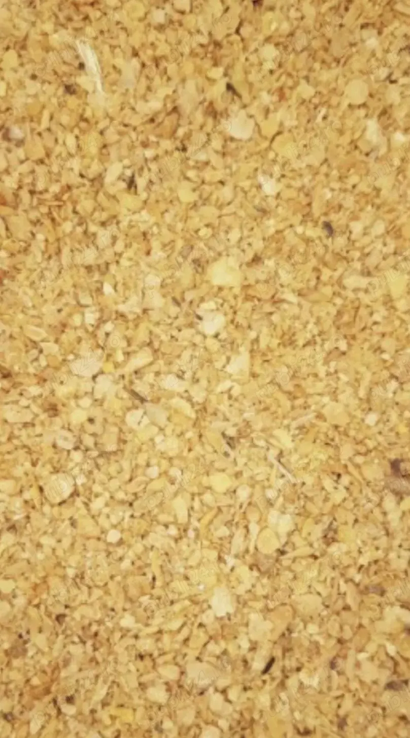 Șrot soia proteină 46,7%