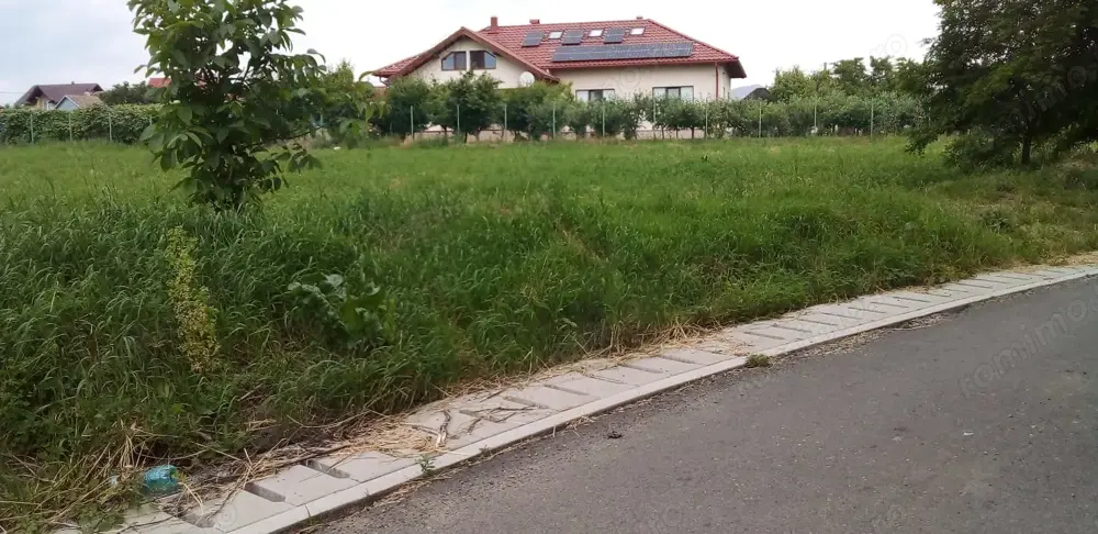 Vând teren intravilan in oraș salcea Plopeni strada paieni Nr 30 A  
