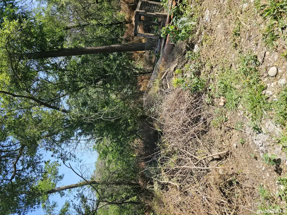 teren milcov vale in padure 