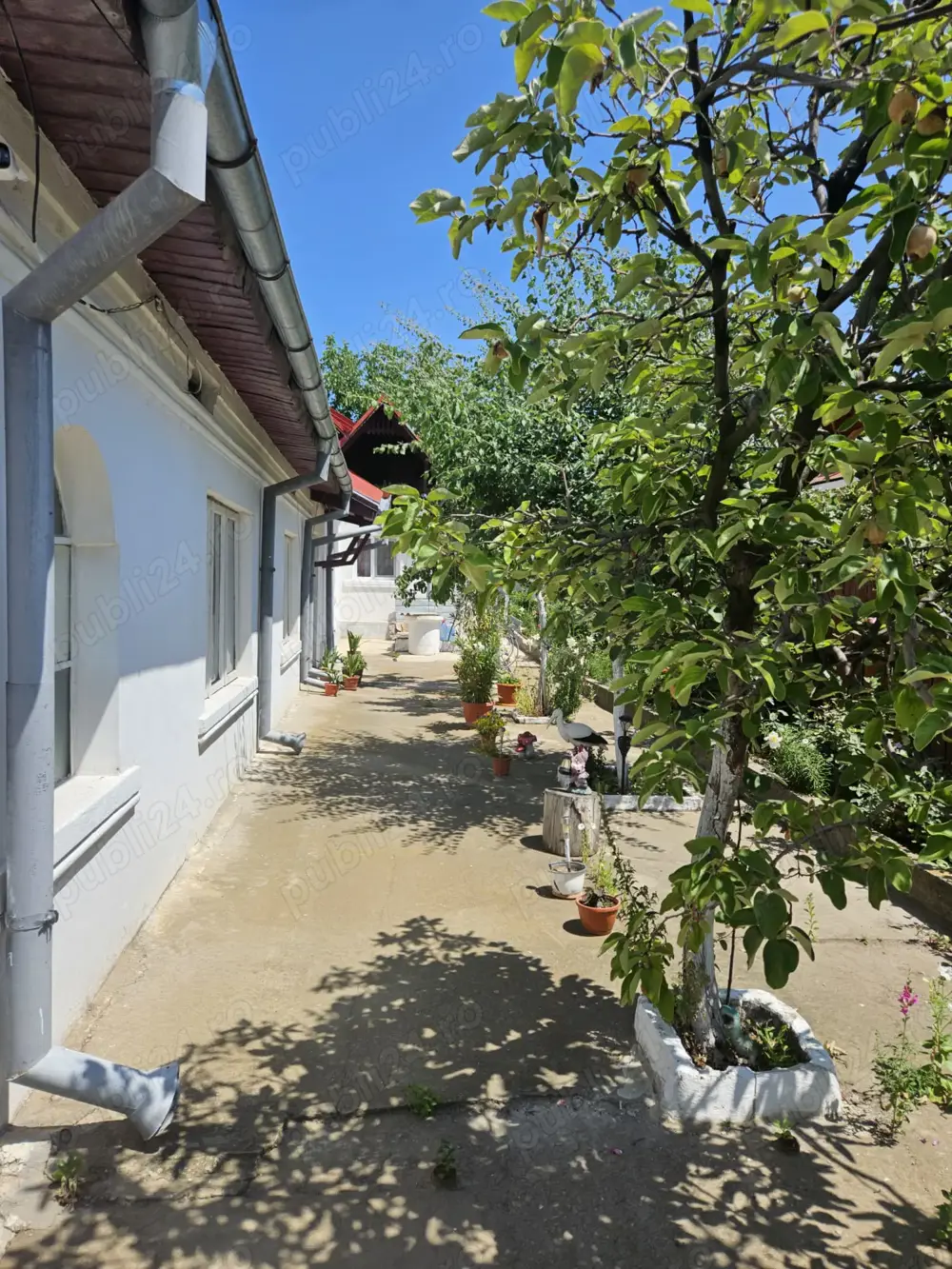 Casă de vânzare în Balș  Casă de vânzare în Balș