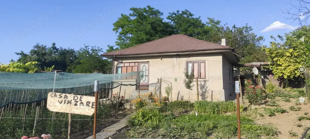 CASĂ DE VÂNZARE   Esechioi, Ostrov, jud. Constanța   2185 mp teren